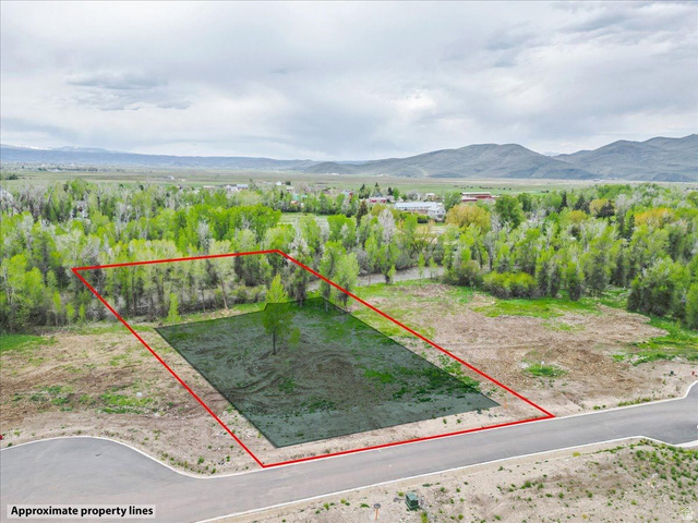 829 River Haven Road, Unit 111 Oakley, UT 84055 - Photo 5 of 12 Expansive lot with defined boundaries and a single tree feature