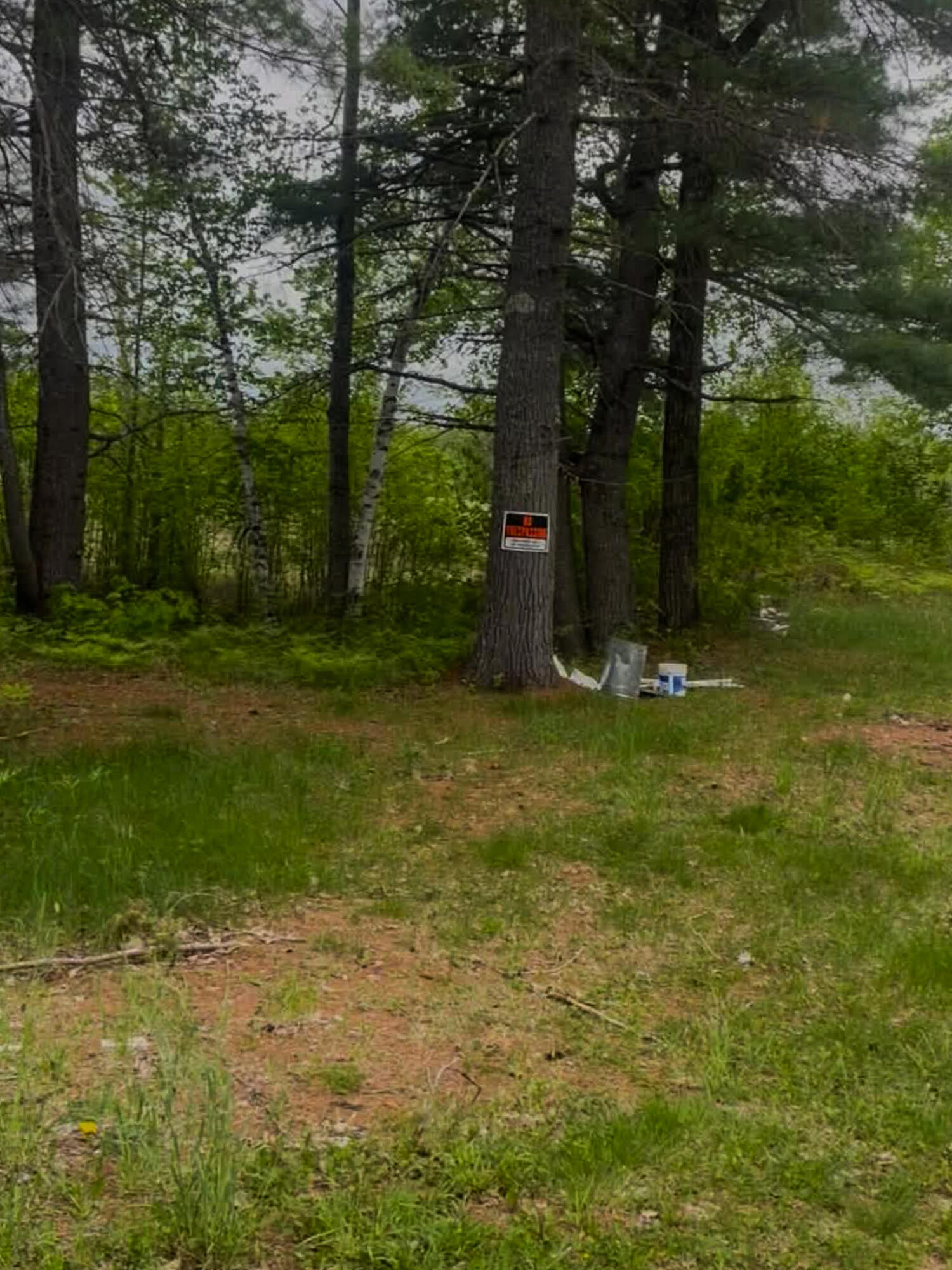 4422 Bennoch Road Alton, ME 04468 - Photo 11 of 11 26 Old County 7 Fox Run