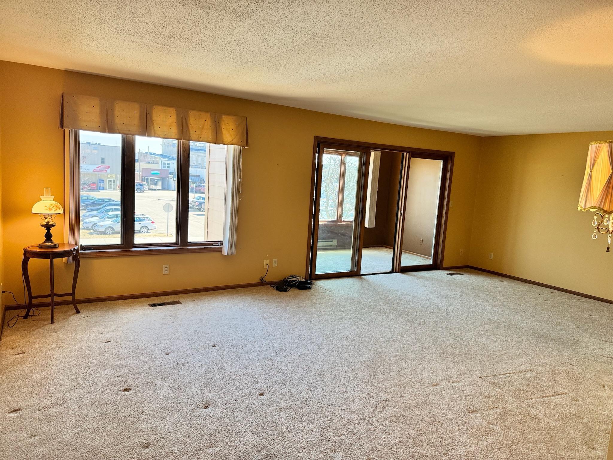 500 Fillmore Street, Unit 202 Alexandria, MN 56308 - Photo 5 of 33