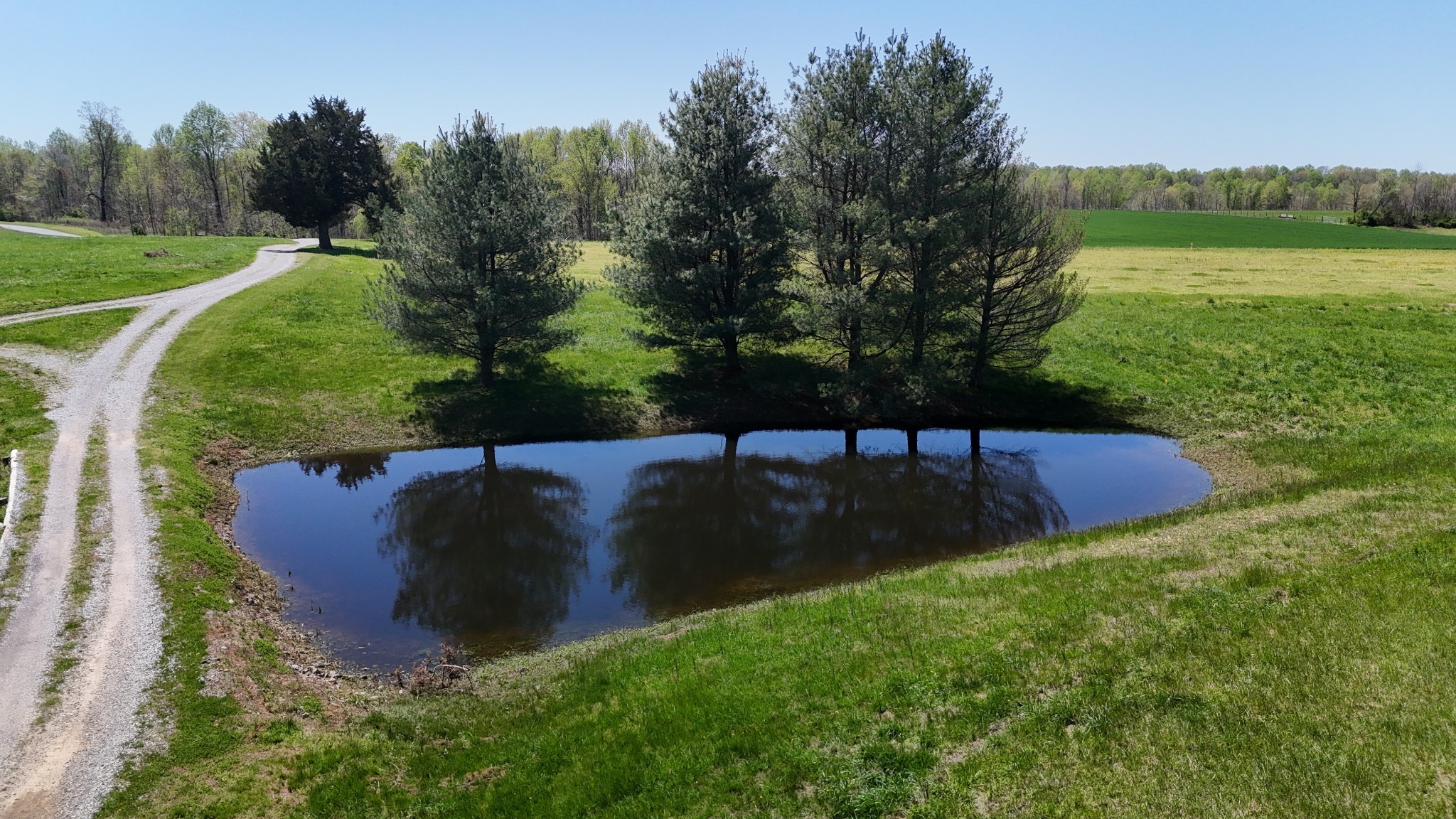 2 Shiloh Road Lafayette, TN 37083 - Photo 6 of 12 Gallery Image 6