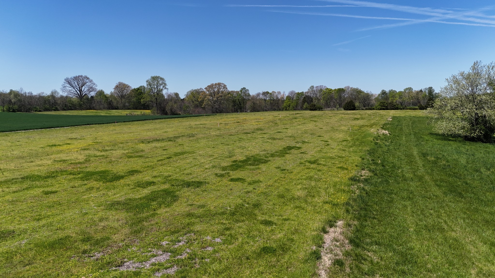 2 Shiloh Road Lafayette, TN 37083 - Photo 8 of 12 Gallery Image 8