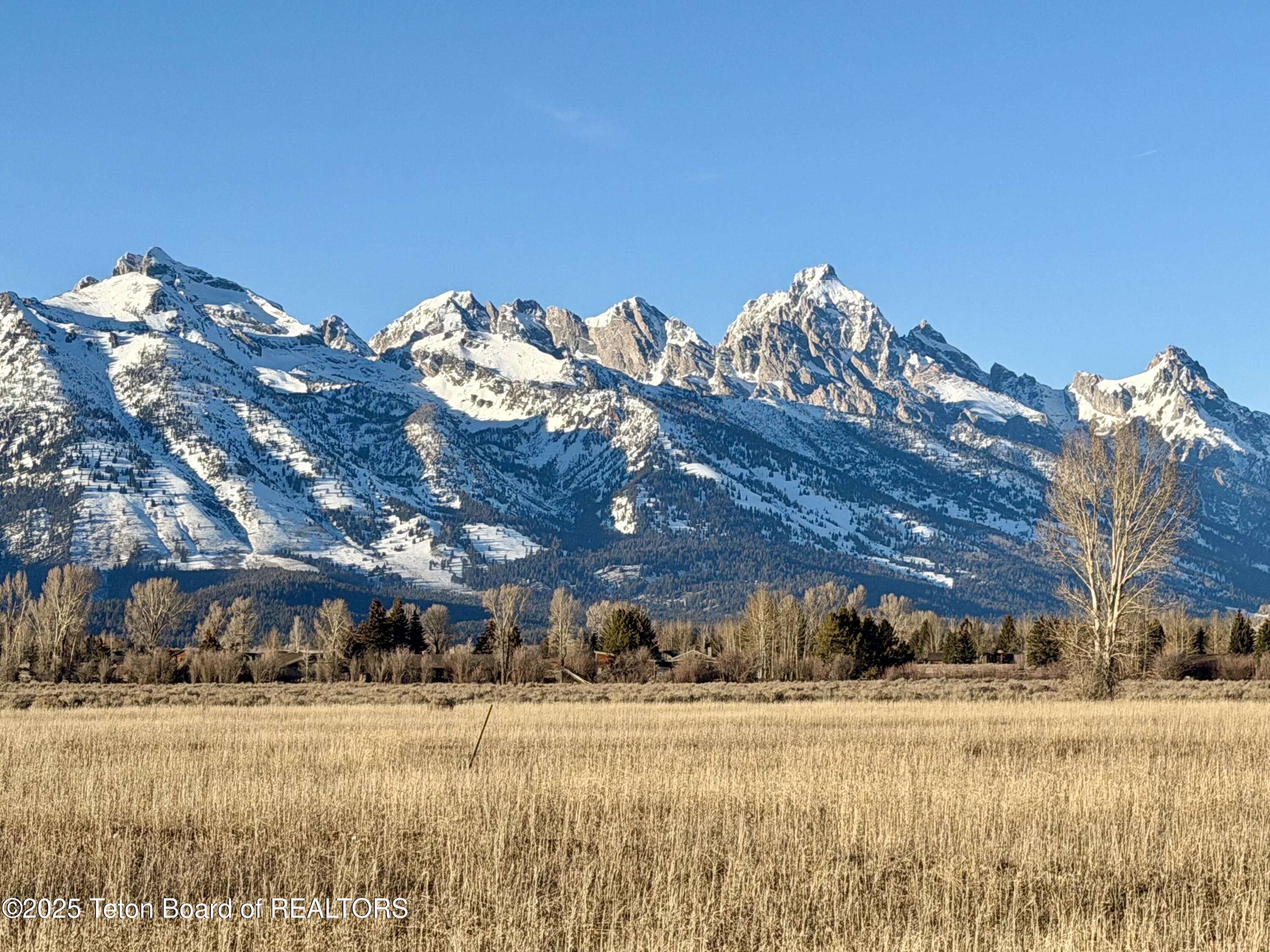6795 North Timothy Road Jackson, WY 83001 - Photo 2 of 10 Bording wildlife corridor