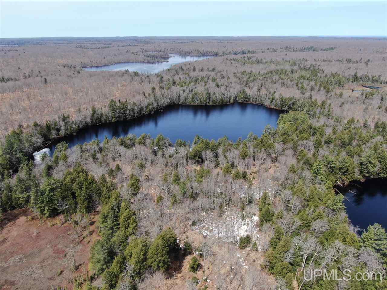 0 Old Seney Road Seney, MI 49883 - Photo 16 of 31