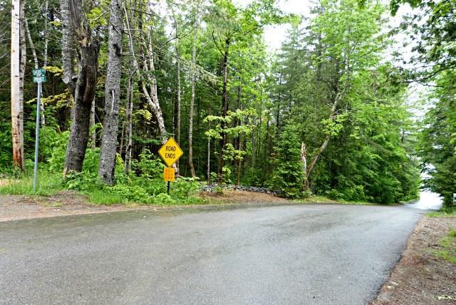 0 Lake Road Princeton, ME 04668 - Photo 23 of 23 Road Frontage