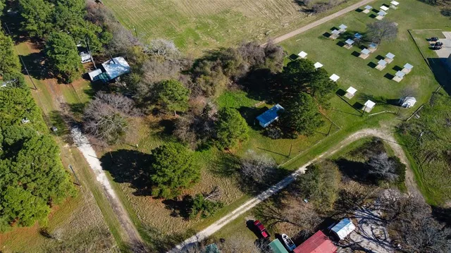 a plant that is sitting in the middle