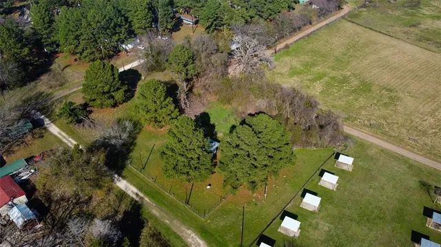 a view of banana tree