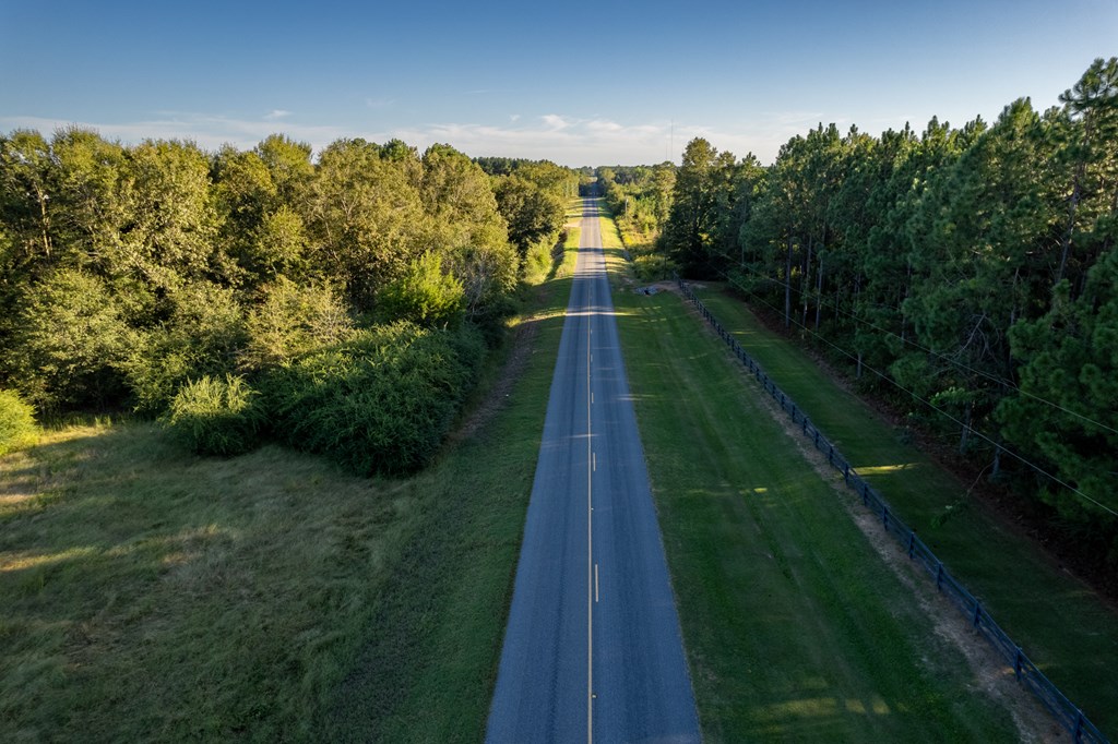 2226 Randall Wade Road Headland, AL 36345 - Photo 42 of 60