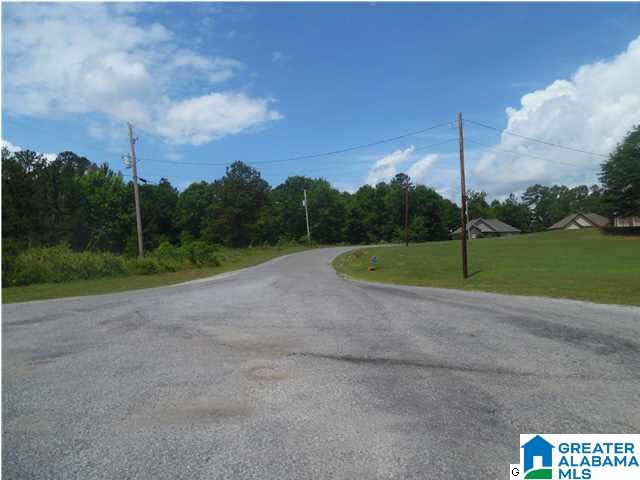 185 Trapper's Way Springville, AL 35146 - Photo 14 of 14