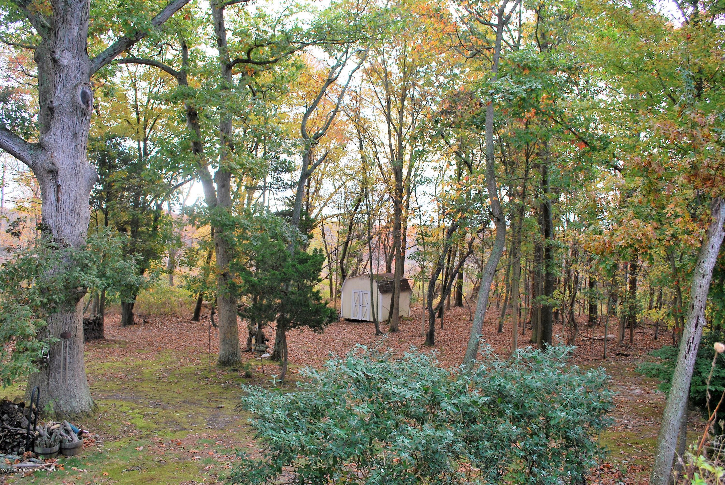 11 Cortelyou Road Jackson, NJ 08527 - Photo 20 of 23 DSC_0041