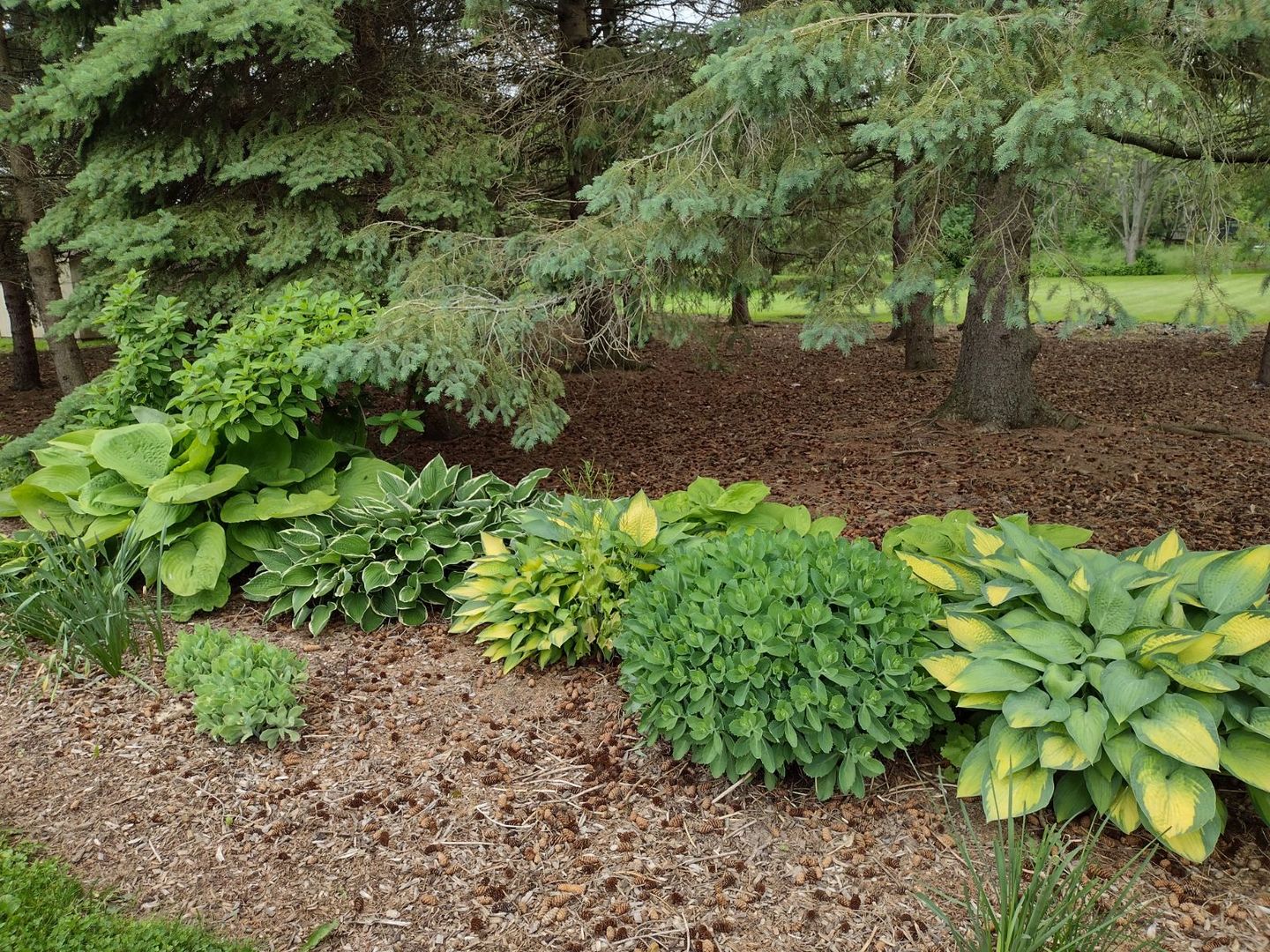 39160 North Winchester Road Wadsworth, IL 60083 - Photo 22 of 31 Gallery Image 22