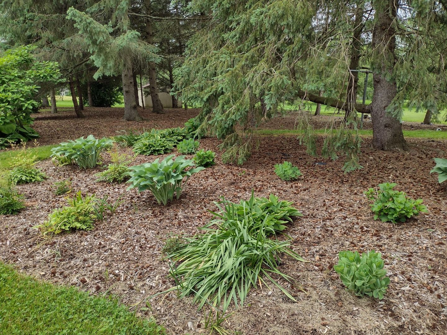39160 North Winchester Road Wadsworth, IL 60083 - Photo 25 of 31 Gallery Image 25