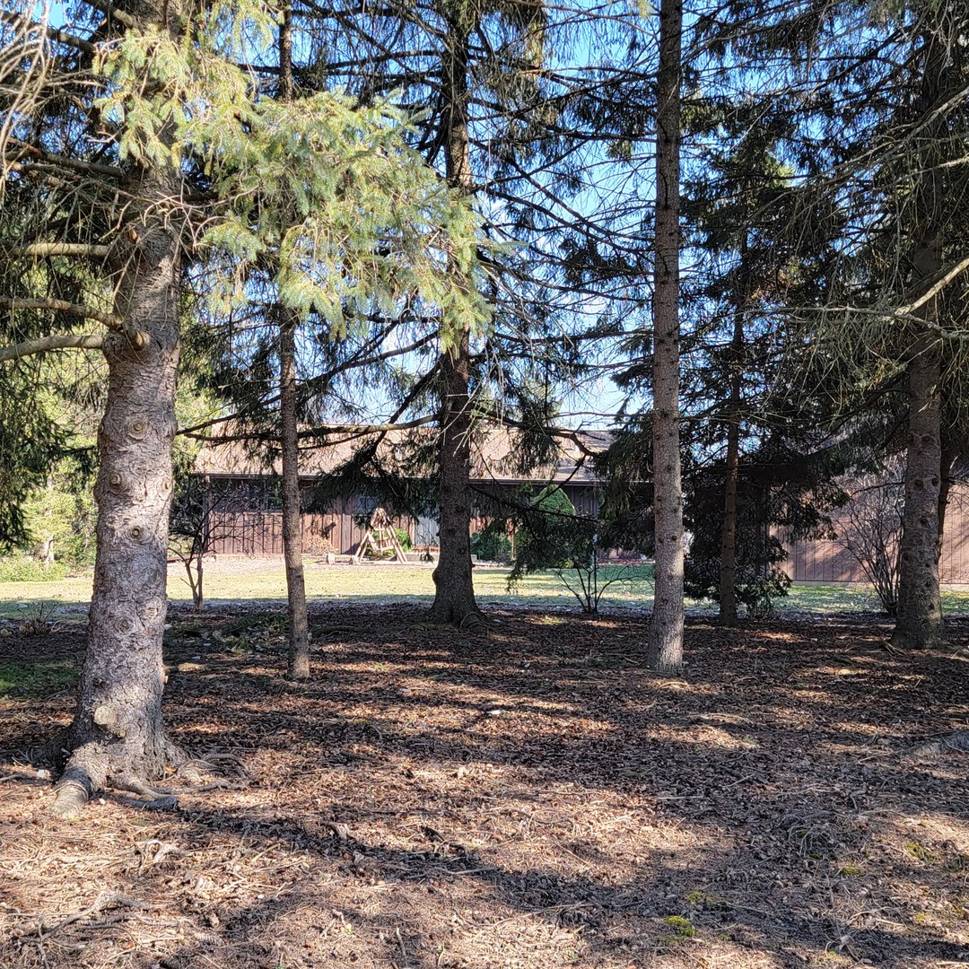 39160 North Winchester Road Wadsworth, IL 60083 - Photo 26 of 31 Gallery Image 26