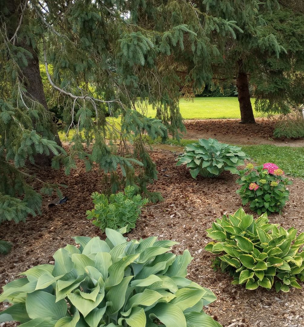 39160 North Winchester Road Wadsworth, IL 60083 - Photo 31 of 31 Gallery Image 31