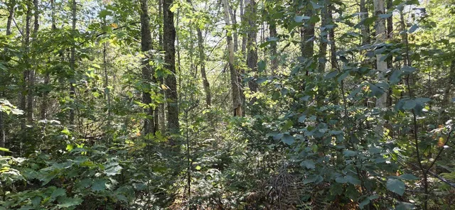 $499,999 | 364 Morrison Farm Road, Mariaville, ME 04605