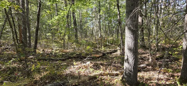 $499,999 | 364 Morrison Farm Road, Mariaville, ME 04605