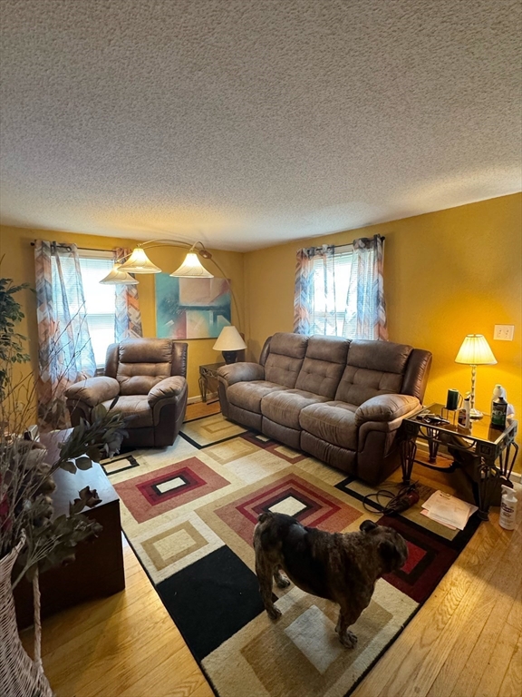21 Morison Terrace Springfield, MA 01104 - Photo 6 of 42 a living room with furniture and a window