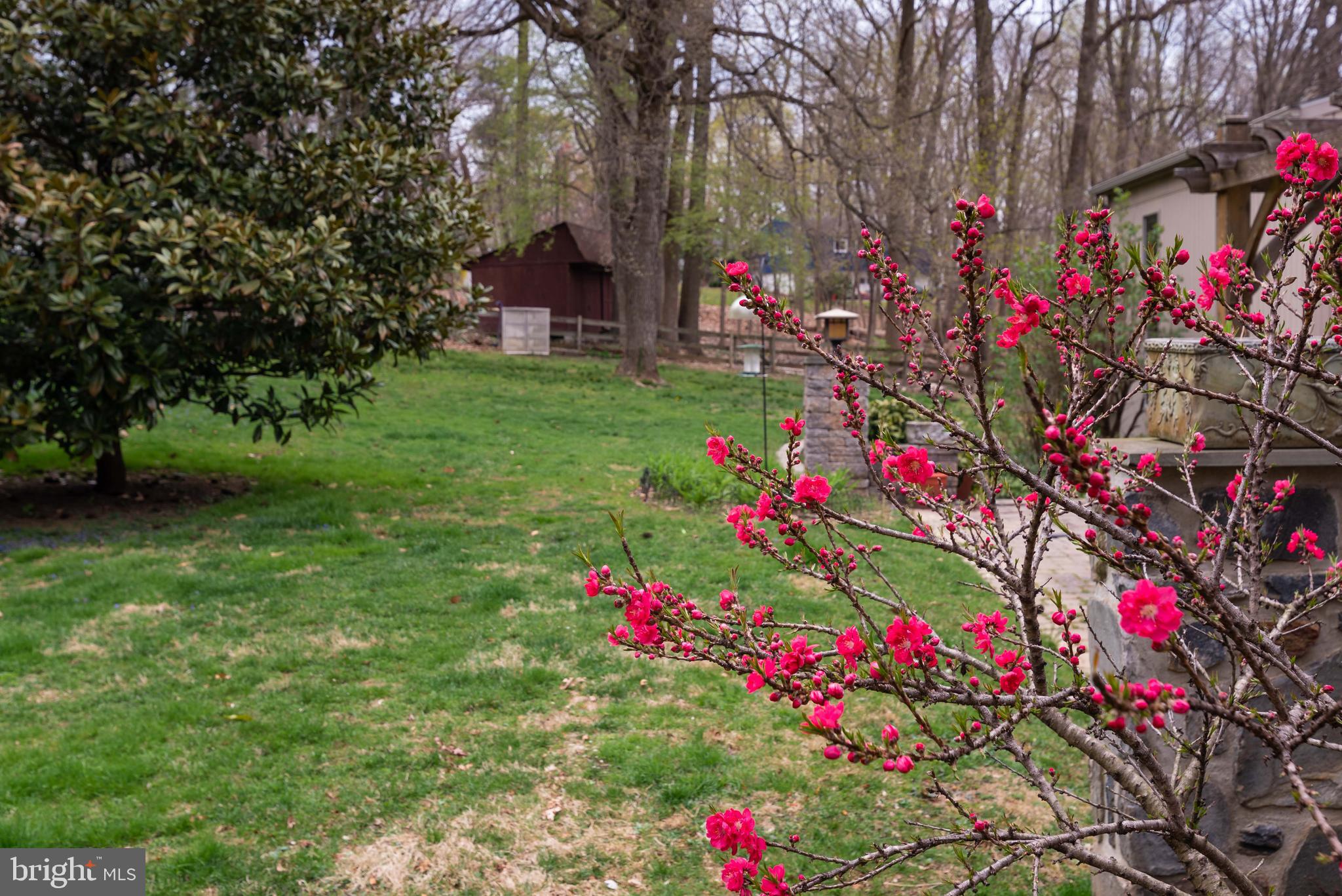 535 Upper Weadley Road Wayne, PA 19087 - Photo 4 of 44 a picture of flowers