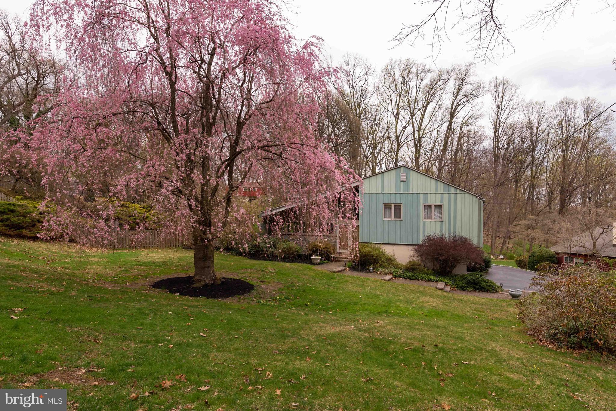 535 Upper Weadley Road Wayne, PA 19087 - Photo 44 of 44 a backyard of a house with garden plants and large tree