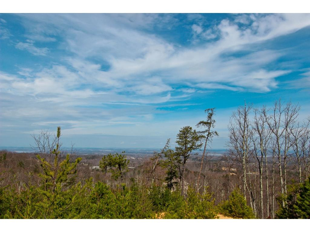 Lot 37 Trentham Road, Unit 37 Newport, TN 37821 - Photo 1 of 12 Photo 1