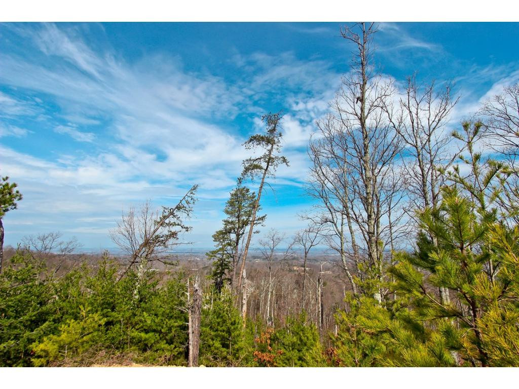 Lot 37 Trentham Road, Unit 37 Newport, TN 37821 - Photo 2 of 12 Photo 2