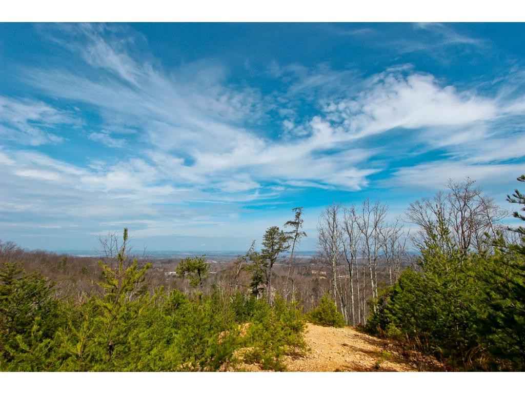 Lot 37 Trentham Road, Unit 37 Newport, TN 37821 - Photo 3 of 12 Photo 3