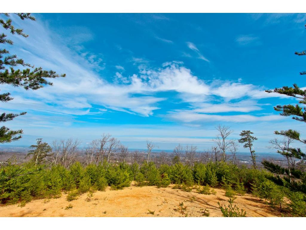 Lot 37 Trentham Road, Unit 37 Newport, TN 37821 - Photo 4 of 12 Photo 4