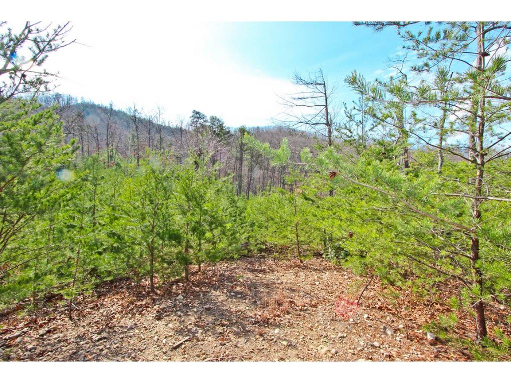 Lot 37 Trentham Road, Unit 37 Newport, TN 37821 - Photo 5 of 12 Photo 5