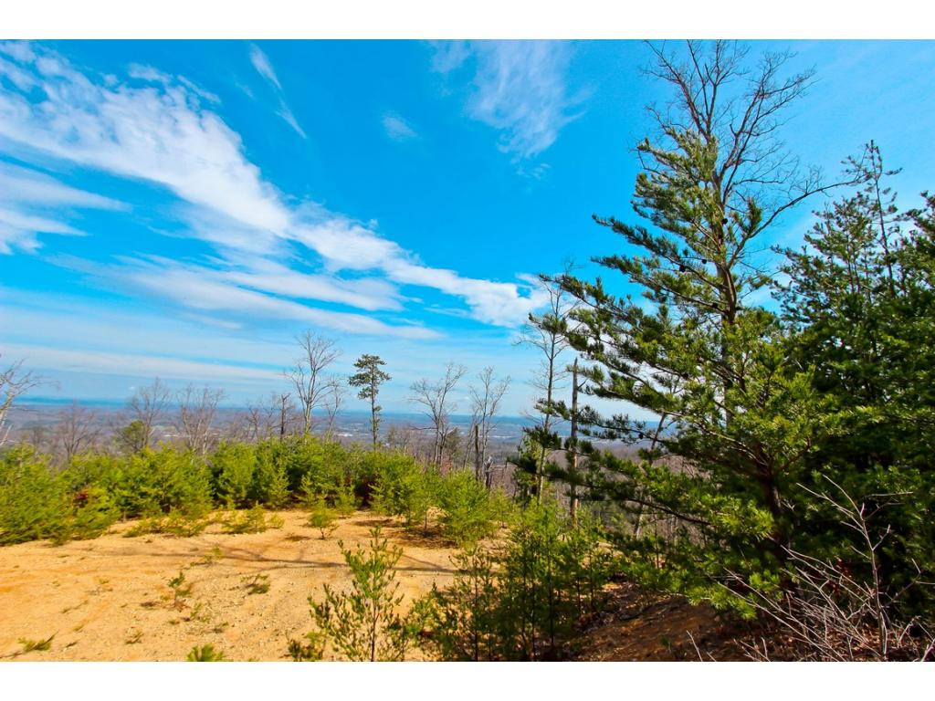 Lot 37 Trentham Road, Unit 37 Newport, TN 37821 - Photo 6 of 12 Photo 6