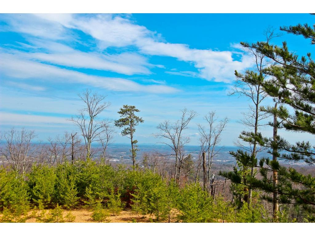 Lot 37 Trentham Road, Unit 37 Newport, TN 37821 - Photo 7 of 12 Photo 7