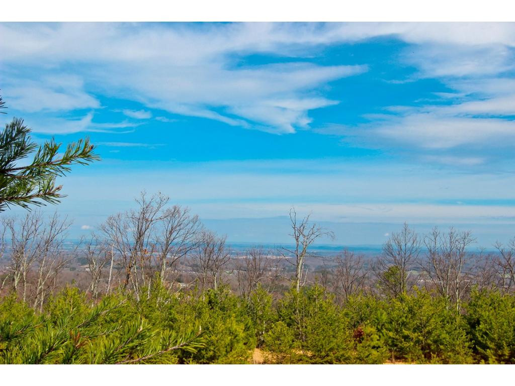 Lot 37 Trentham Road, Unit 37 Newport, TN 37821 - Photo 8 of 12 Photo 8