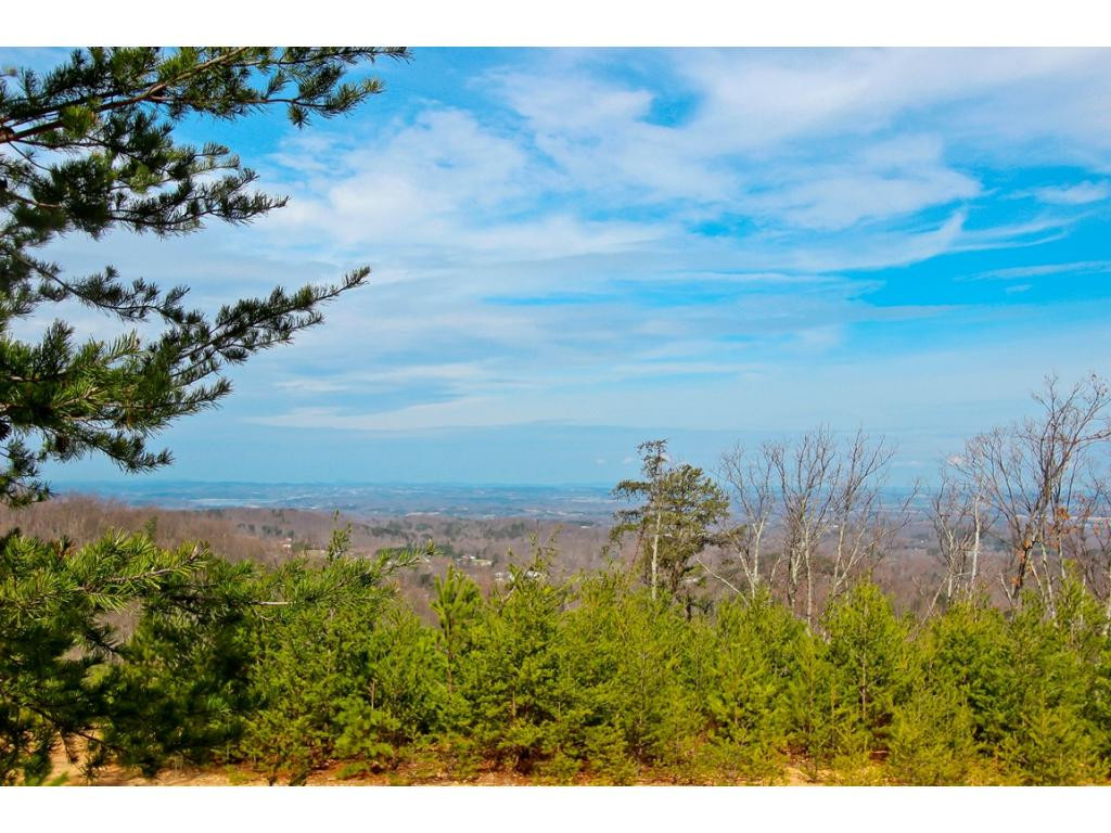 Lot 37 Trentham Road, Unit 37 Newport, TN 37821 - Photo 9 of 12 Photo 9
