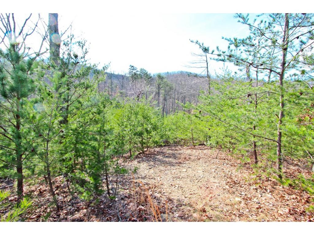 Lot 37 Trentham Road, Unit 37 Newport, TN 37821 - Photo 10 of 12 Photo 10