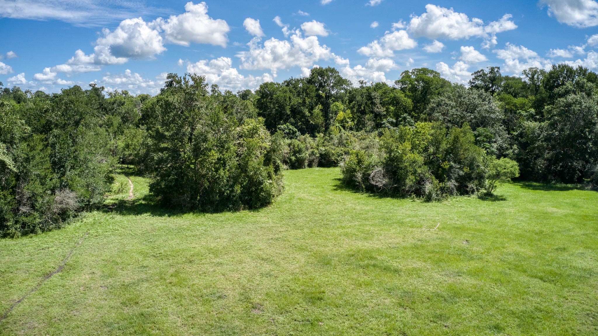 Tbd Holik Road Hempstead, TX 77445 - Photo 13 of 50