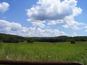 ? Bryantsville Road Mitchell, IN 47446 - Photo 1 of 3 Gallery Image 1