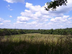 ? Bryantsville Road Mitchell, IN 47446 - Photo 2 of 3 Gallery Image 2