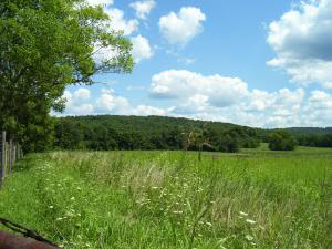 ? Bryantsville Road Mitchell, IN 47446 - Photo 3 of 3 Gallery Image 3