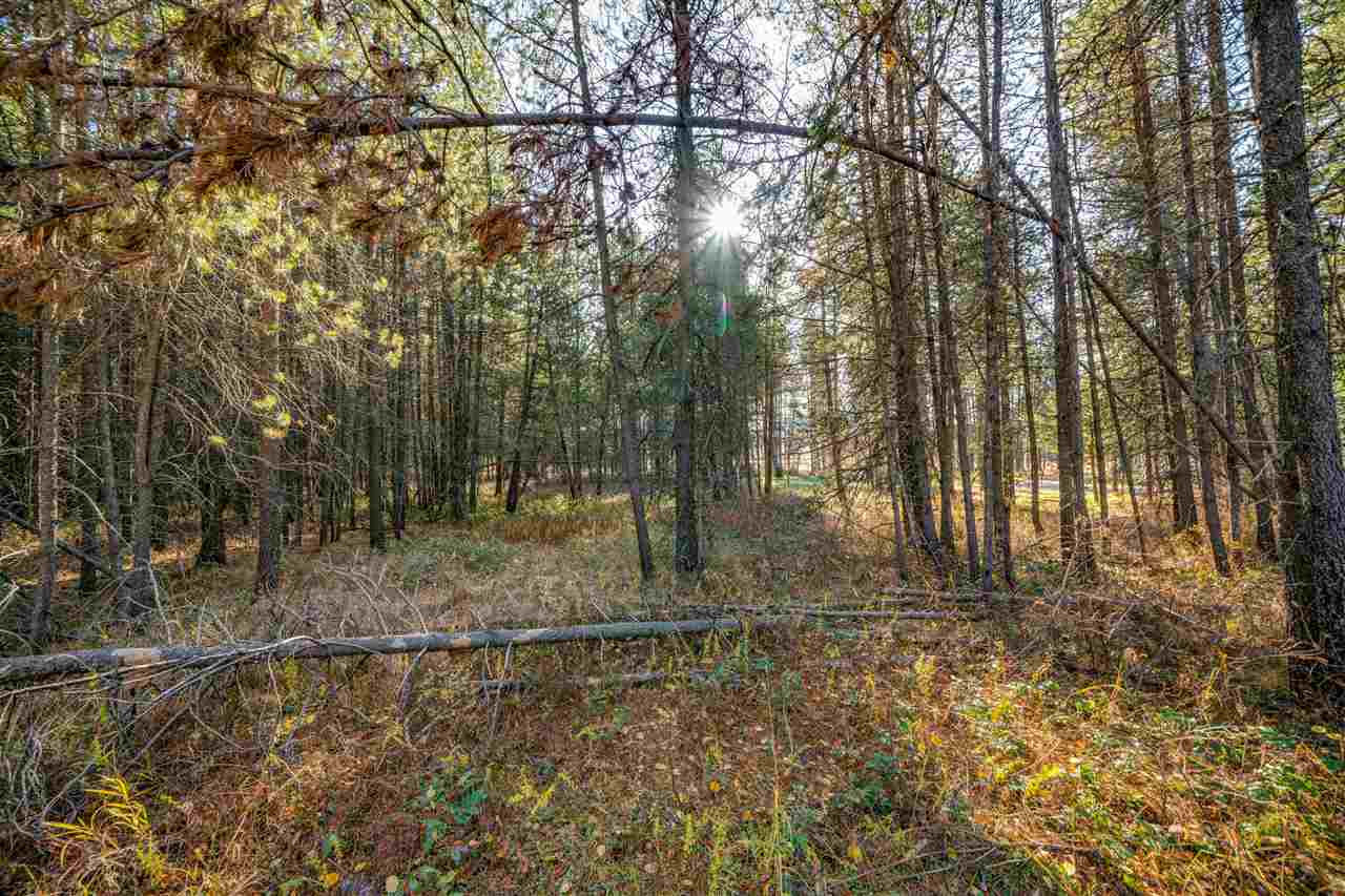 775 Jorgens Road Newport, WA 99156 - Photo 19 of 20 Gallery Image 19