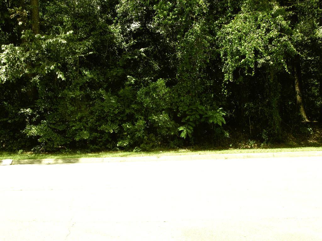 0 Rocky Branch Road Dothan, AL 36303 - Photo 2 of 5