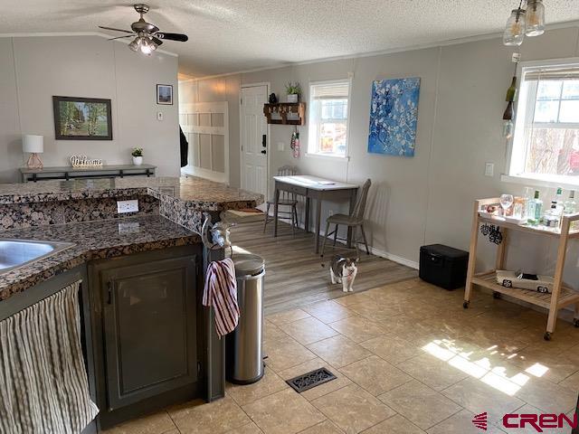 485 Florida Road, Unit D4 Durango, CO 81301 - Photo 11 of 27 Gallery Image 11