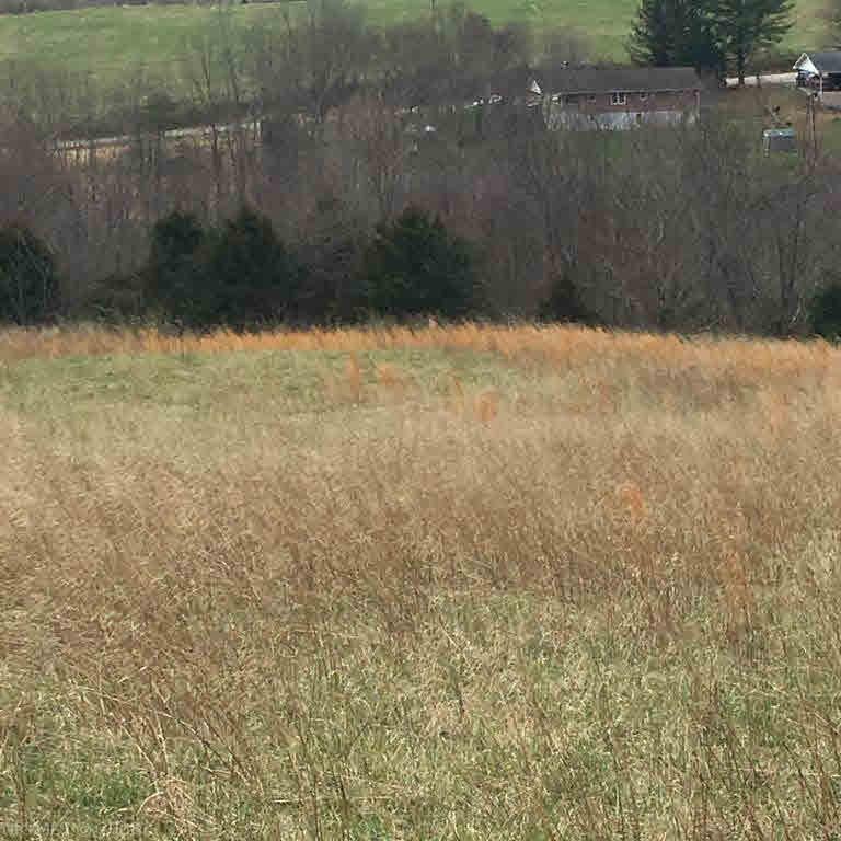 0 Daisy Road Blacksburg, VA 24060 - Photo 22 of 33 Gallery Image 22