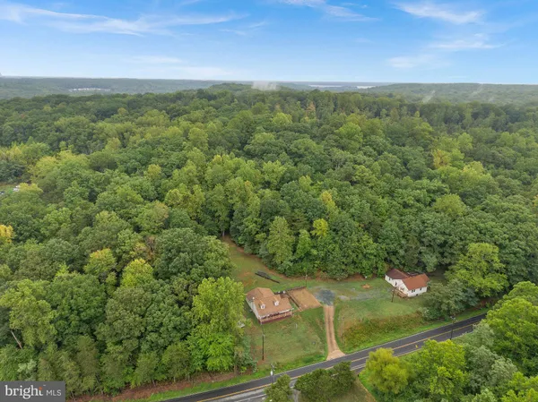 a view of a lush green forest with lots of trees
