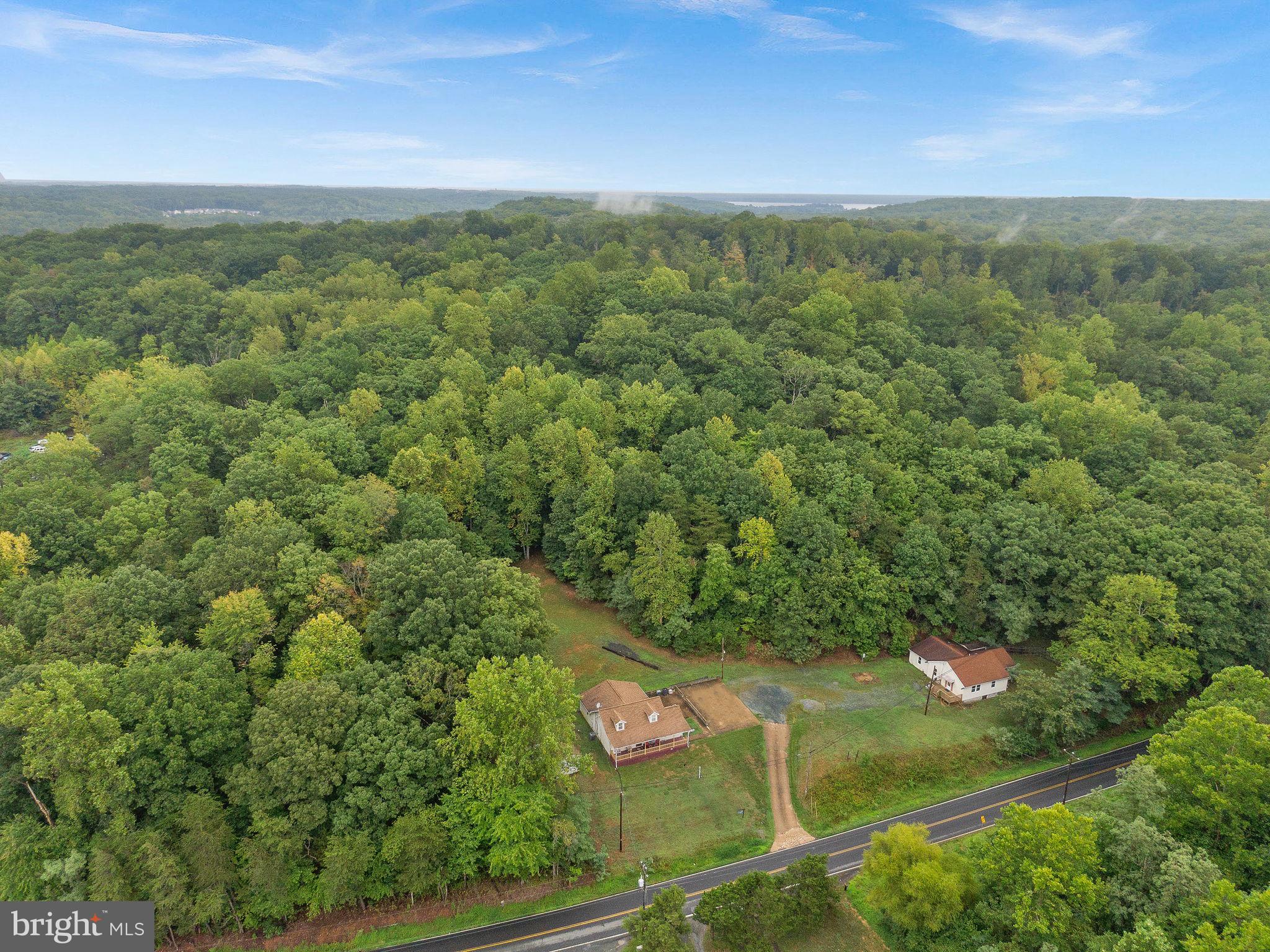 794 Telegraph Road Stafford, VA 22554 - Photo 5 of 21 a view of a lush green forest with lots of trees