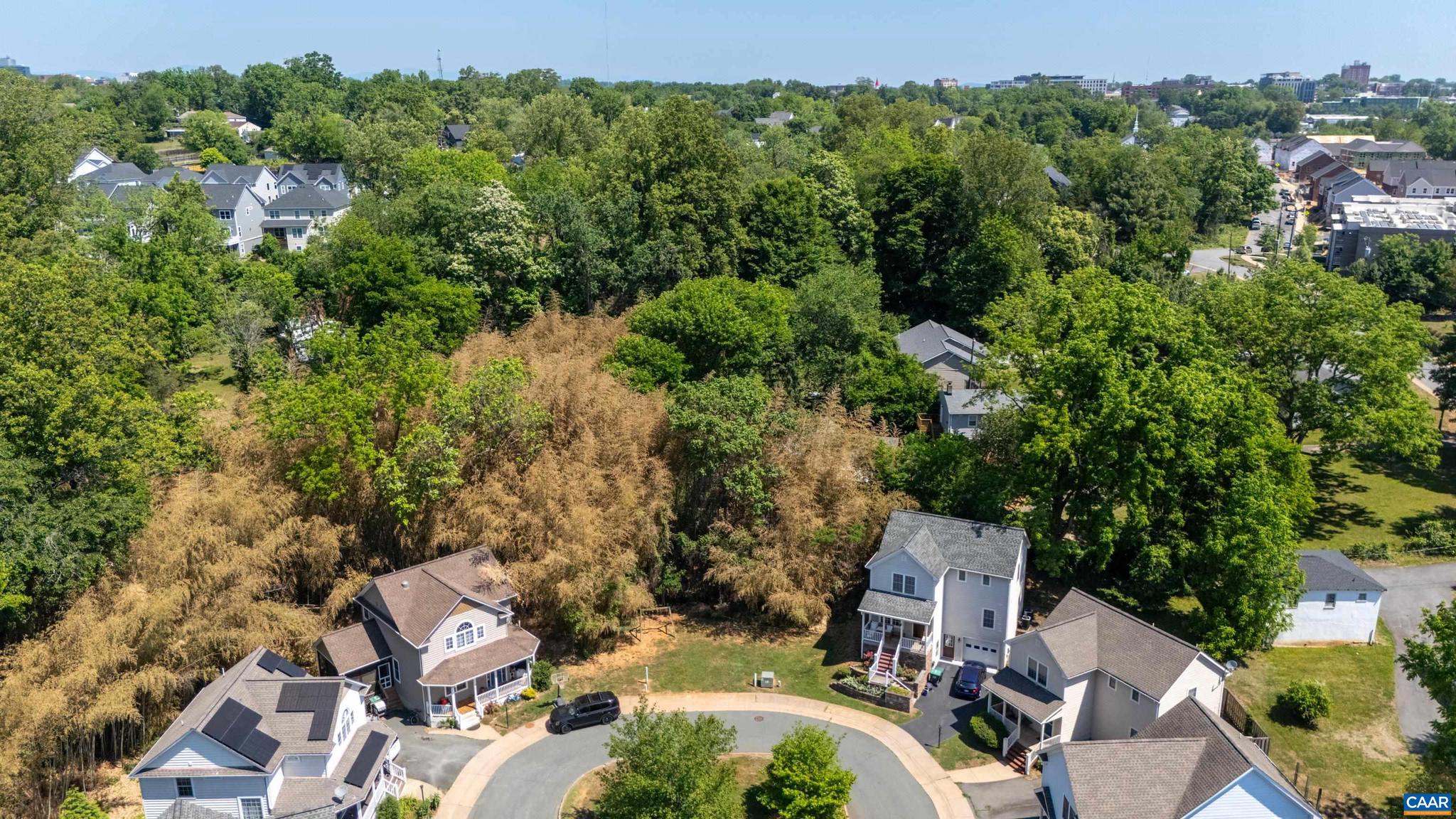 125 Roy's Place, Unit 13 AND 14 Charlottesville, VA 22902 - Photo 17 of 19