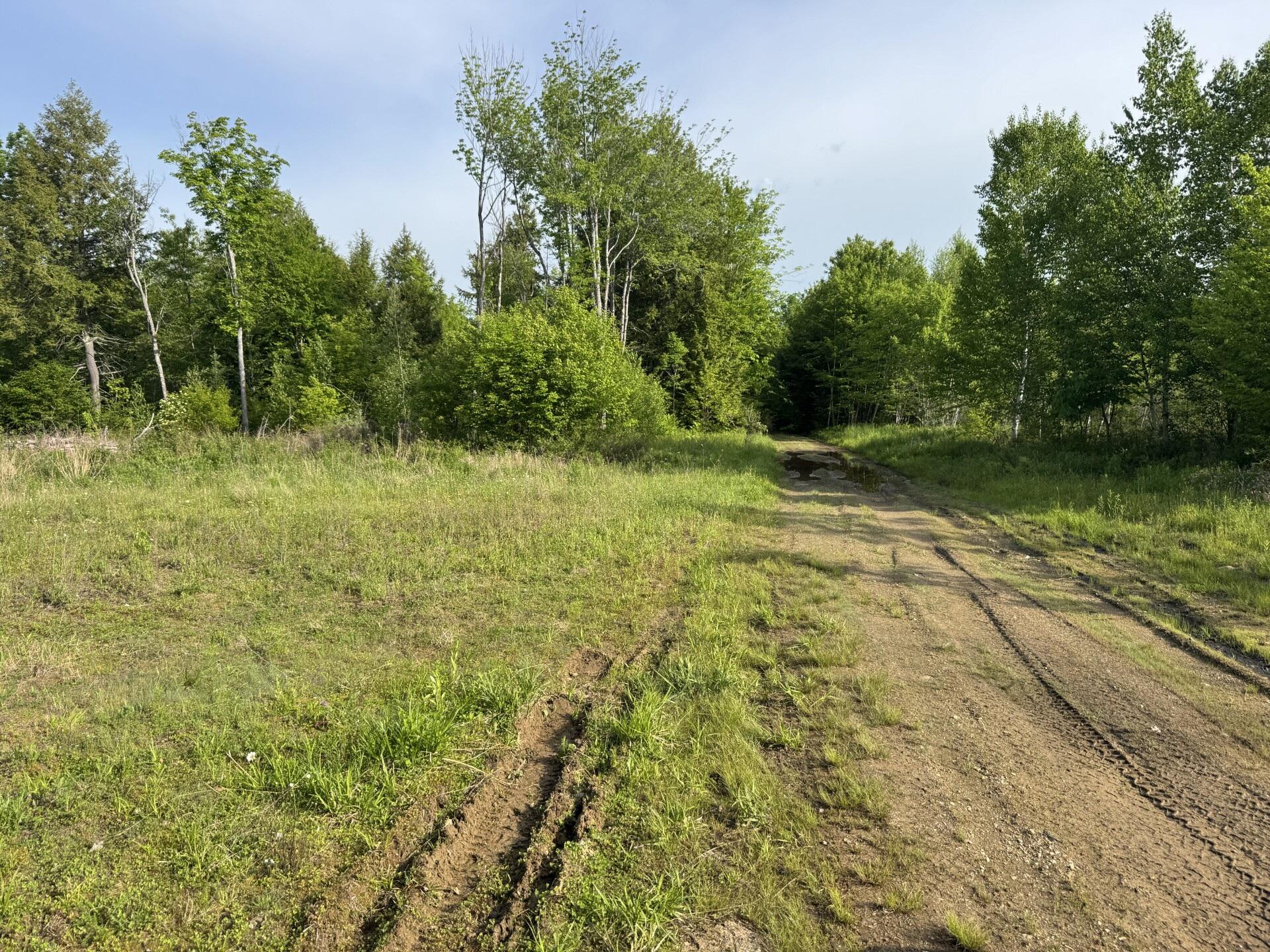Lot 3 Albion Road Unity, ME 04988 - Photo 4 of 13 Add a camp or apple trees here!