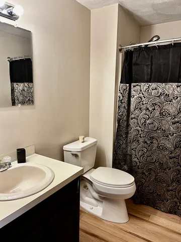 a bathroom with a sink and a toilet