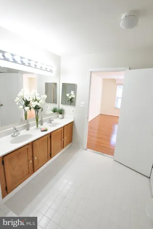 a bathroom with a sink double vanity and a mirror