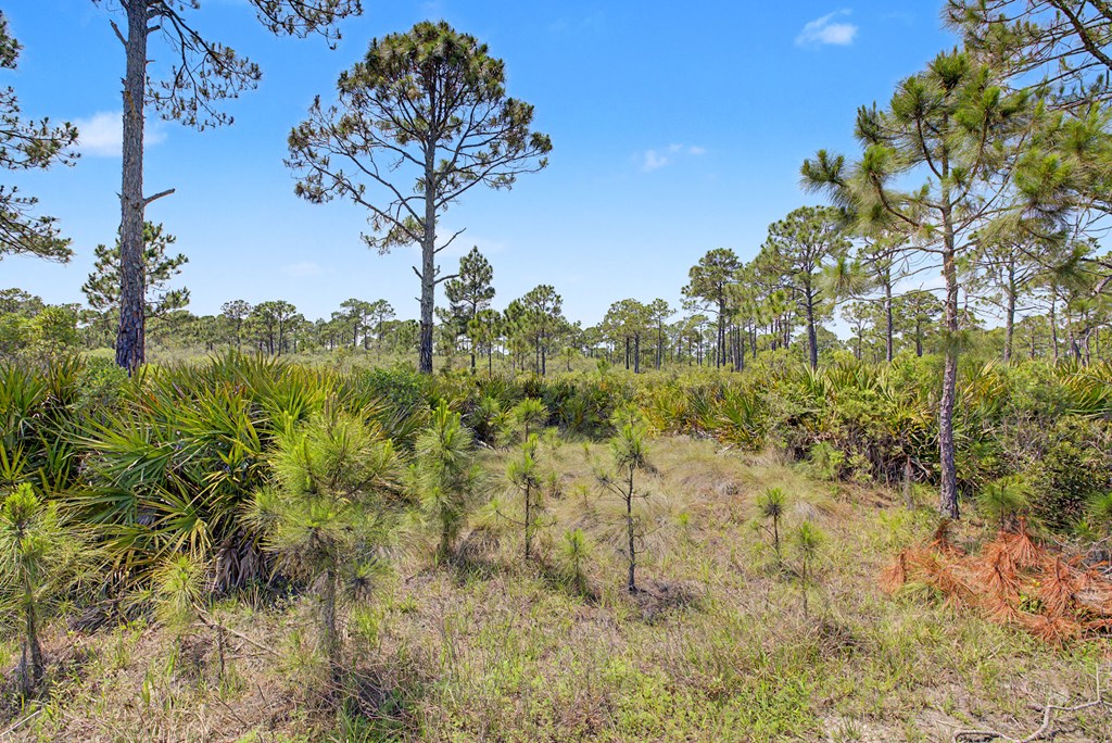 446 Bald Point Road Alligator Point, FL 32346 - Photo 21 of 30