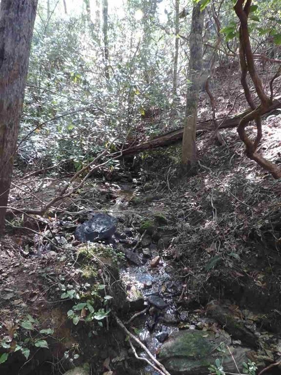 540 North Horseshoe Bridge Road Westminster, SC 29693 - Photo 23 of 26 Gallery Image 23