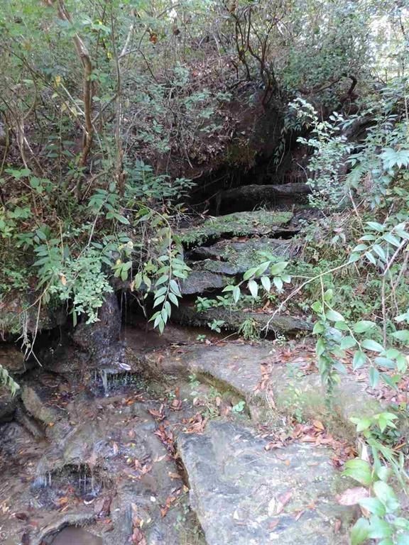 540 North Horseshoe Bridge Road Westminster, SC 29693 - Photo 24 of 26 Gallery Image 24