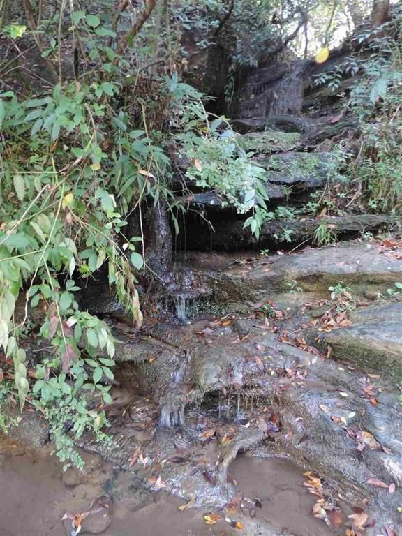 540 North Horseshoe Bridge Road Westminster, SC 29693 - Photo 25 of 26 Gallery Image 25